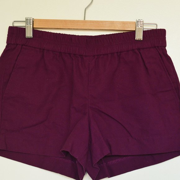 3/$30 - J. Crew Purple Shorts - Picture 2 of 5
